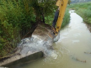 03novembre2014 197_1024x768