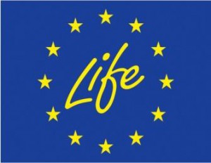 logo_life_a