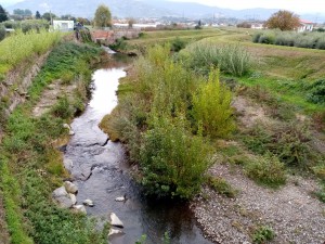 Pescia di Pescia a Pesciamorta