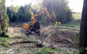 Torrente Tora - Crespina Lorenzana (PI) e Orciano Pisano (PI)