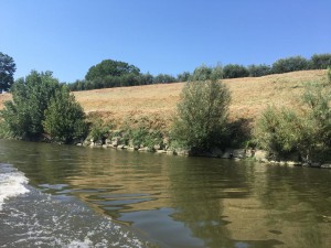 Zona Limite sull'Arno sfalcio erba 2020