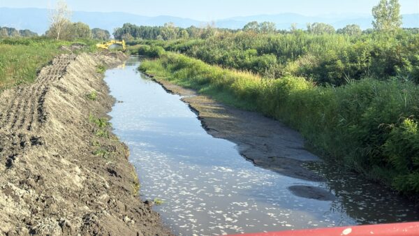 Manutenzione nel Cratere palustre del Padule di Fucecchio. Iniziati gli interventi del Consorzio di Bonifica 4 Basso Valdarno - Immagine della notizia