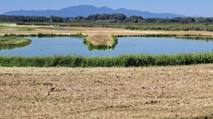 Area delle Morette